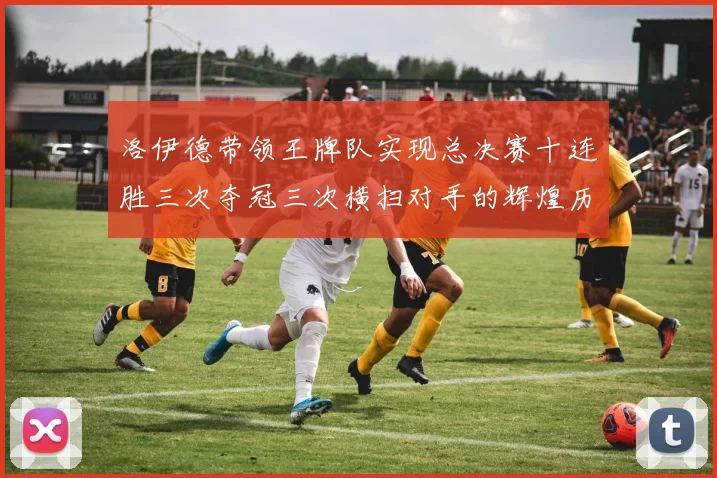 洛伊德带领王牌队实现总决赛十连胜三次夺冠三次横扫对手的辉煌历程