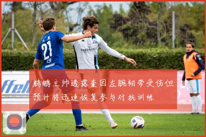 鹈鹕主帅透露奎因左腕韧带受伤但预计将迅速恢复参与对抗训练