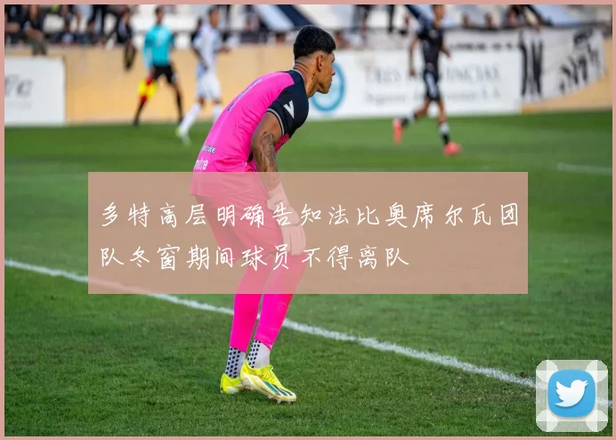 多特高层明确告知法比奥席尔瓦团队冬窗期间球员不得离队